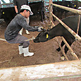 Img_0009_2