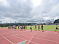 Img_0011