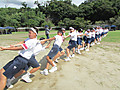 Img_0100 Img_0100
