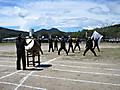 Img_3003 Img_3003