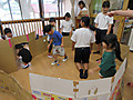 Img_3305 Img_3305